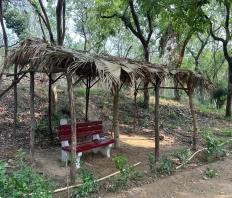 Nature's Shelter: Turning Park Waste into a visual treat for People